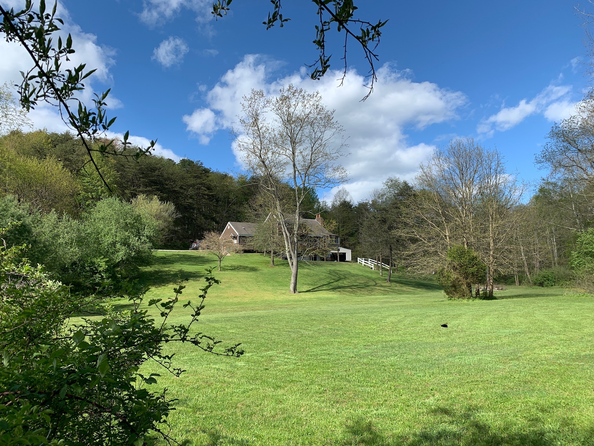 Three mowed acres on a hillside with views at Cave and Creek